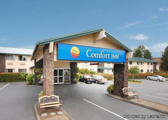 Comfort Inn Kirkland Exterior foto